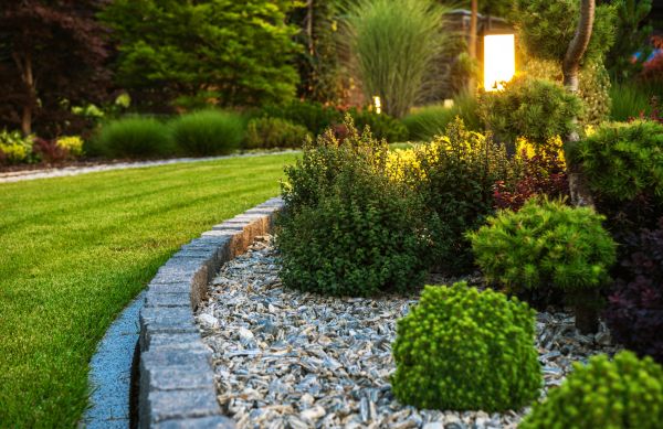 Cost of Bush Relocation in Santa Barbara
