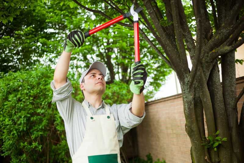 Expert pruning ensures healthy growth
